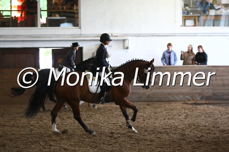 009M3369_Scalari_Dressur A.JPG